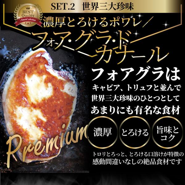 黒毛和牛 ヒレステーキ & フォアグラセット 2人前（ステーキ130g×2枚＆フォアグラ2個）国産牛 A4,A5等級 ヒレステーキ