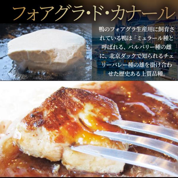黒毛和牛 ヒレステーキ & フォアグラセット 2人前（ステーキ130g×2枚＆フォアグラ2個）国産牛 A4,A5等級 ヒレステーキ