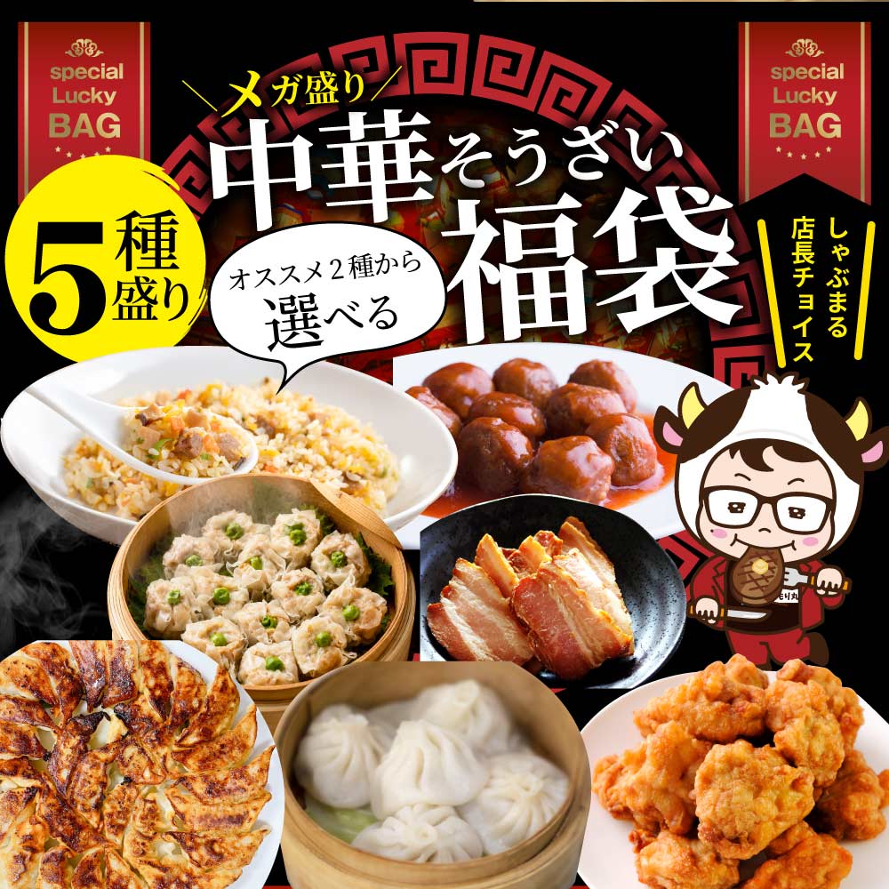 中華 点心 惣菜 《総重量最大4.1kg》 福袋 2種から選べるセット 餃子 焼売 小籠包 唐揚げ チャーハン 焼飯 肉団子 焼豚 肉 ギフト プレゼント 爆買