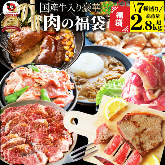 肉 福袋 2023年 国産牛入り 肉の福袋 「竹福袋」牛肉 食品 メガ盛り 総重量2.8kg超 焼くだけ＆レンジで簡単調理！ランキング1位＆人気のお肉豪華セット 国産牛ステーキ 国産牛焼肉