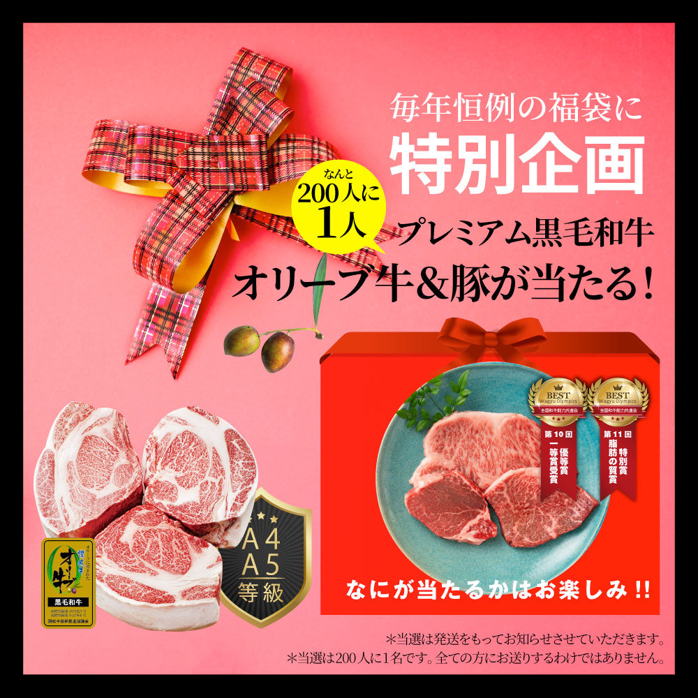 2026 まるふく 肉の福袋 7種 2.56kg ランプステーキ 牛ハラミ ハンバーグ トンテキ バジルチキン カレー ソーセージ 冷凍 詰め合わせ 肉セット 爆買