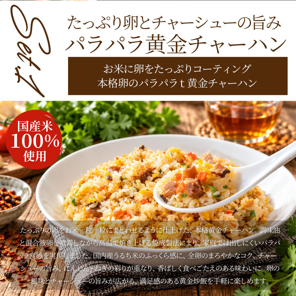 炒飯 チャーハン 食べ比べセット 各5食 冷凍 黄金炒飯 ビビンバ炒飯 2種セット パラパラ 旨辛 レンジ調理 冷凍食品 惣菜 冷凍ストック ご飯もの ランチ 夜食