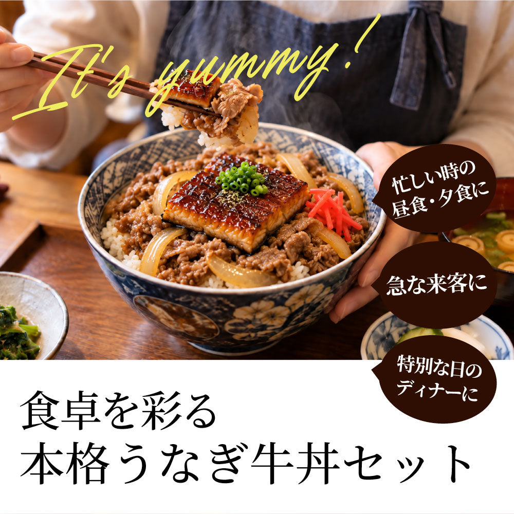 うなぎ牛丼 各3食セットセット うなぎ 牛丼 ウナギ 鰻 丼の具 蒲焼き 牛肉 スタミナ飯 ご飯のお供 おかず 惣菜 冷凍食品 簡単調理 ランチ 夜食 惣菜 冷凍ストック ご飯もの お取り寄せ