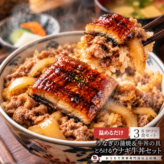 うなぎ牛丼 各3食セットセット うなぎ 牛丼 ウナギ 鰻 丼の具 蒲焼き 牛肉 スタミナ飯 ご飯のお供 おかず 惣菜 冷凍食品 簡単調理 ランチ 夜食 惣菜 冷凍ストック ご飯もの お取り寄せ