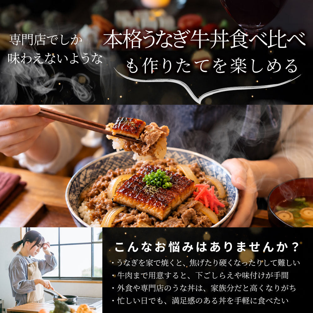 うなぎ牛丼 各6食セットセット うなぎ 牛丼 ウナギ 鰻 丼の具 蒲焼き 牛肉 スタミナ飯 ご飯のお供 おかず 惣菜 冷凍食品 簡単調理 ランチ 夜食 惣菜 冷凍ストック ご飯もの お取り寄せ