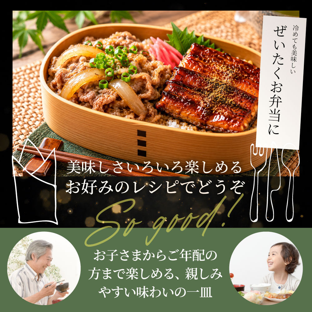 うなぎ牛丼 各10食セットセット うなぎ 牛丼 ウナギ 鰻 丼の具 蒲焼き 牛肉 スタミナ飯 ご飯のお供 おかず 惣菜 冷凍食品 簡単調理 ランチ 夜食 惣菜 冷凍ストック ご飯もの お取り寄せ
