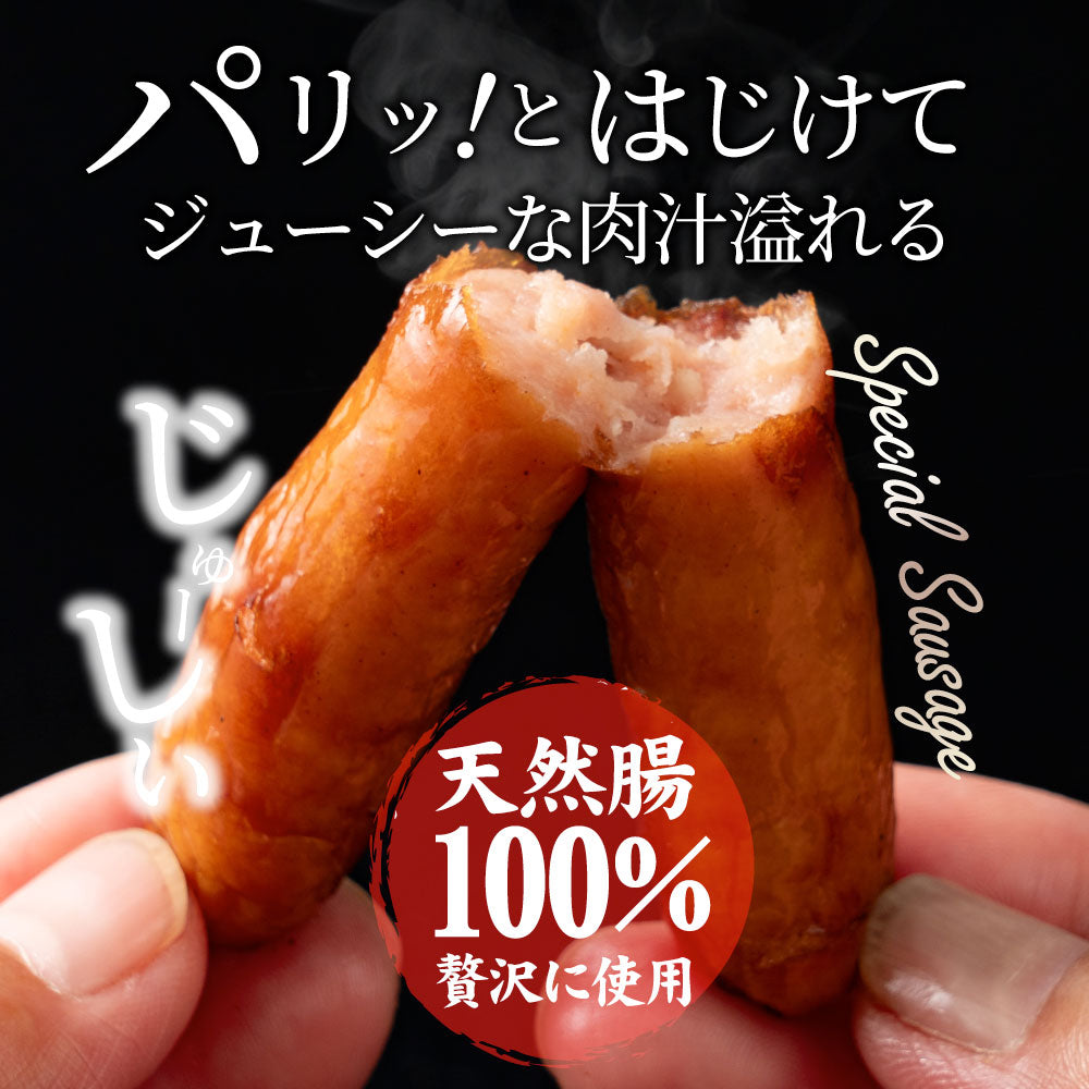 ソーセージ ウインナー 100ｇ 惣菜 ジューシー 粗挽き 粗びき あらびき ポーク 豚 バーベキュー 焼肉 焼くだけ 弁当＊当日発送対象