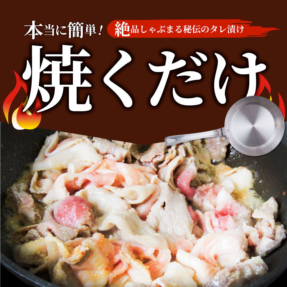 肉 訳あり 豚 生姜焼き 焼くだけ 500g（250g×2）「生姜王」 ジューシー ミックス 豚 生姜 焼き 切り落とし おかず *当日出荷