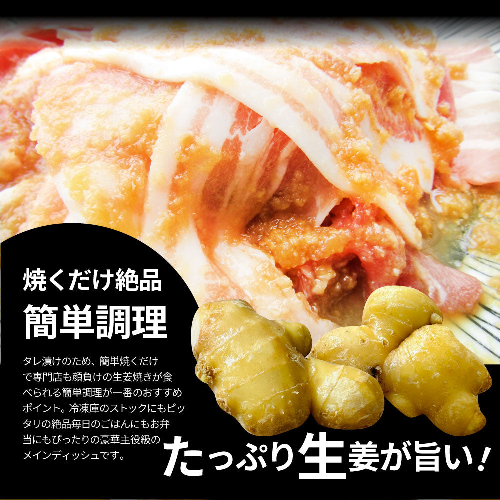 肉 訳あり 豚 生姜焼き 焼くだけ 500g（250g×2）「生姜王」 ジューシー ミックス 豚 生姜 焼き 切り落とし おかず *当日出荷