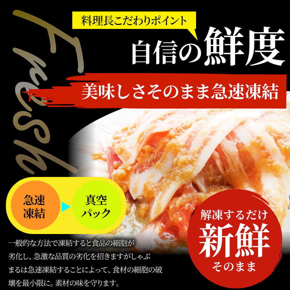 肉 訳あり 豚 生姜焼き 焼くだけ 500g（250g×2）「生姜王」 ジューシー ミックス 豚 生姜 焼き 切り落とし おかず *当日出荷