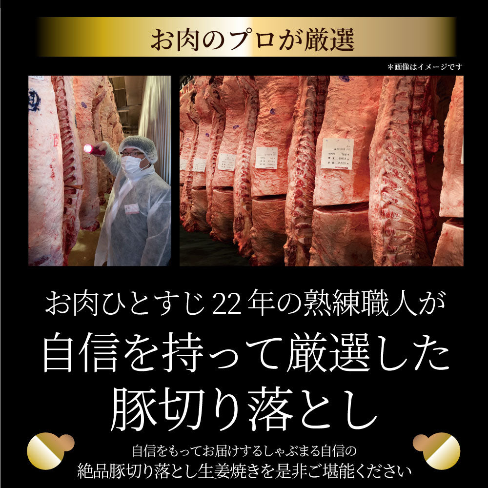 肉 訳あり 豚 生姜焼き 焼くだけ 500g（250g×2）「生姜王」 ジューシー ミックス 豚 生姜 焼き 切り落とし おかず *当日出荷