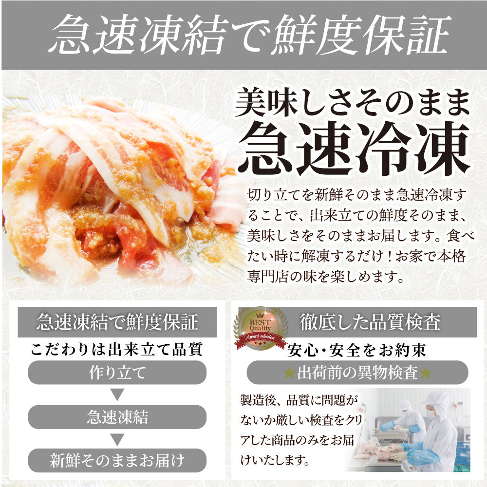 肉 訳あり 豚 生姜焼き 焼くだけ 500g（250g×2）「生姜王」 ジューシー ミックス 豚 生姜 焼き 切り落とし おかず *当日出荷