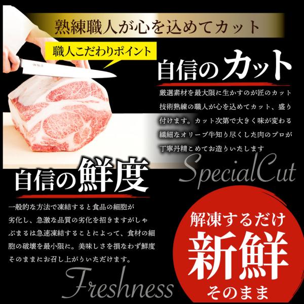 豚肉 肉 オリーブ豚 国産 ロース とんかつ用 2kg (100g×20) 冷凍 グルメ  トンテキ とんかつ トンカツ 豚 香川県産 ブランド