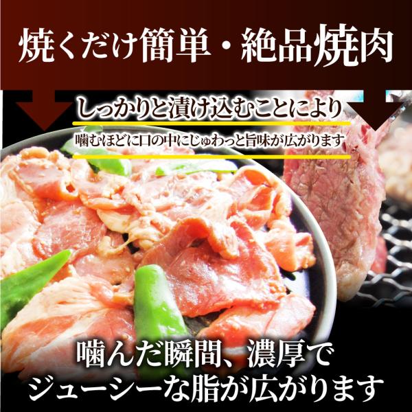 焼肉 ざんまい 牛豚鶏よくばり焼肉ミックス 2kg(500g×4) おトク お徳用 送料無料 肉 通販 お取り寄せ グルメ アウトドア レジャー 送料無料
