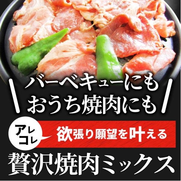 焼肉 ざんまい 牛豚鶏よくばり焼肉ミックス 2kg(500g×4) おトク お徳用 送料無料 肉 通販 お取り寄せ グルメ アウトドア レジャー 送料無料