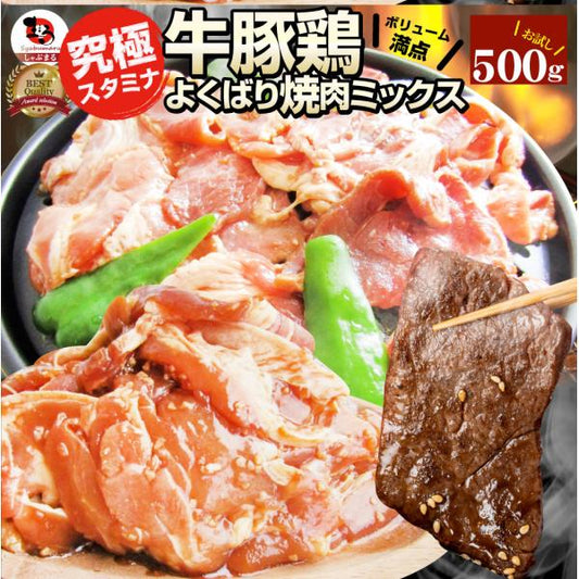 焼肉 ざんまい 牛豚鶏よくばり焼肉ミックス 500g おトク お徳用 送料無料 肉 通販 お取り寄せ グルメ アウトドア レジャー 送料無料