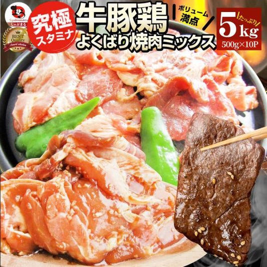 焼肉 ざんまい 牛豚鶏よくばり焼肉ミックス 5kg(500g×10) おトク お徳用 送料無料 肉 通販 お取り寄せ グルメ アウトドア レジャー 送料無料
