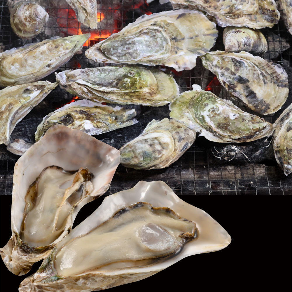 殻付き牡蠣焼き 単品 海鮮 BBQ 殻付き牡蠣 魚 通販 グルメ アウトドア レジャー 食材