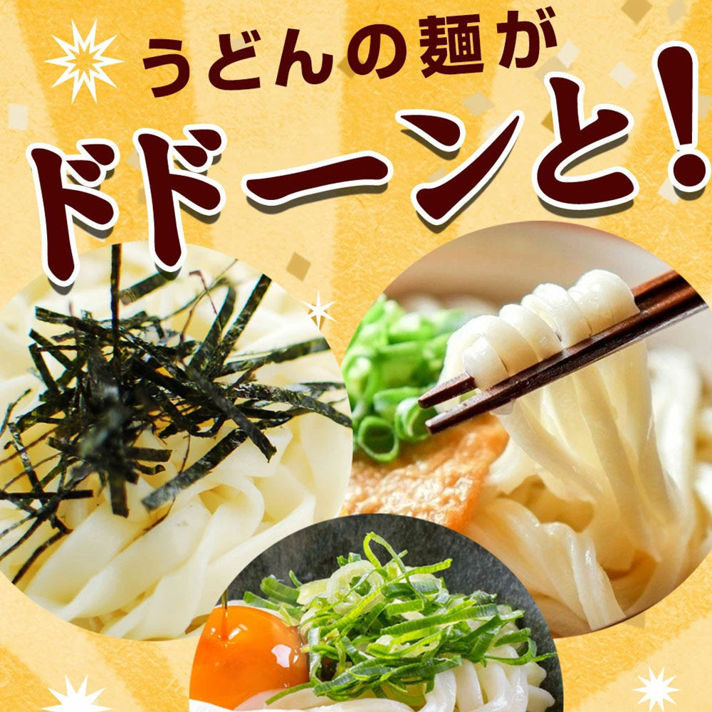 ポッキリ 送料無料 うどん 讃岐うどん 生うどん 9食セット 生麺 300g×3袋 冷やし 温うどん 香川県 産地直送 お試し おすすめ グルメ 食品