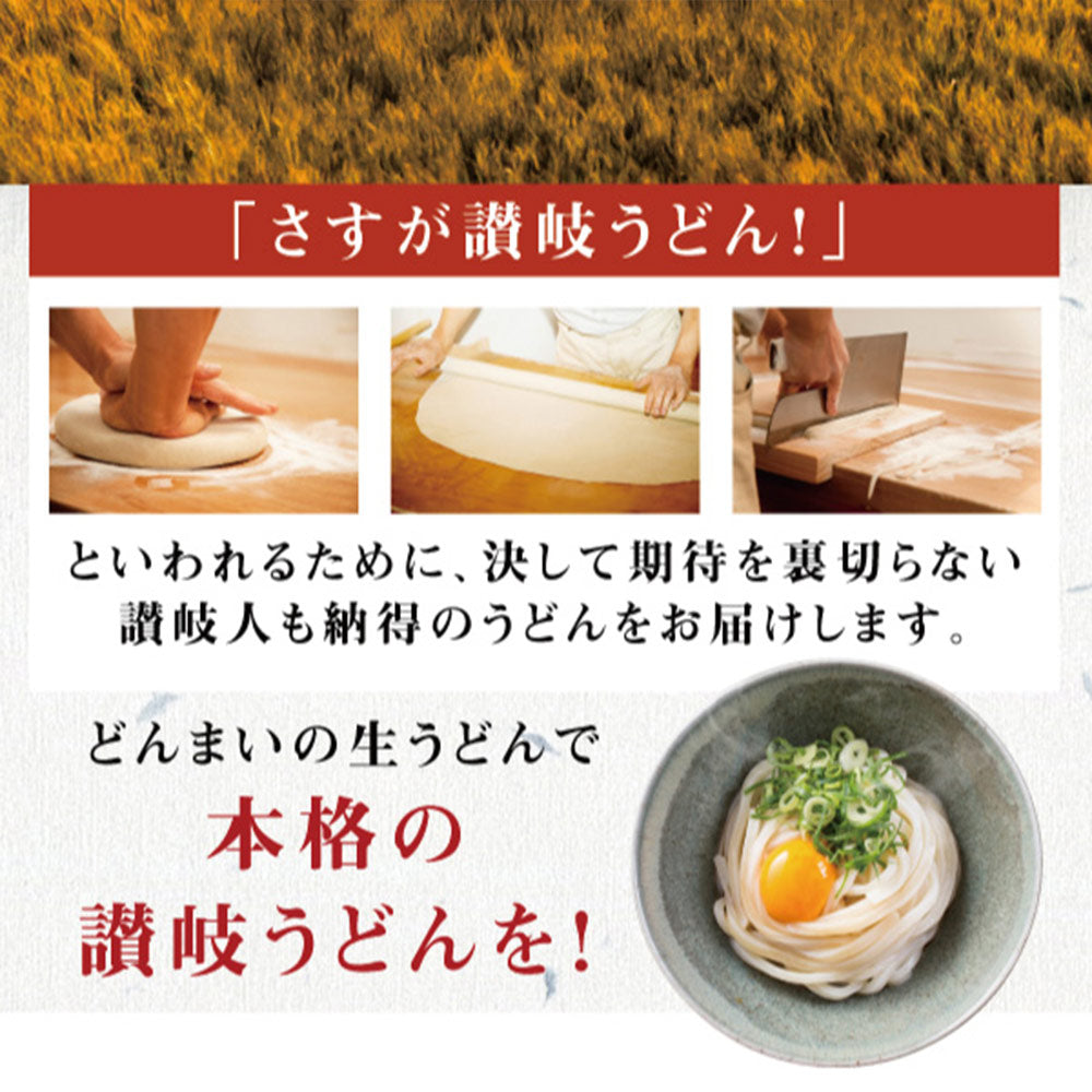 ポッキリ 送料無料 うどん 讃岐うどん 生うどん 9食セット 生麺 300g×3袋 冷やし 温うどん 香川県 産地直送 お試し おすすめ グルメ 食品