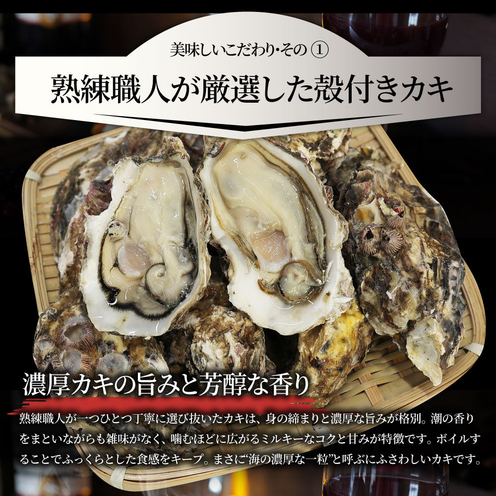 殻付かきグラタン 100個（10個入り×10） 牡蠣 カキ 殻付き 魚介 チーズ オードブル 惣菜 冷凍食品 レンジ オーブン *当日発送 爆買