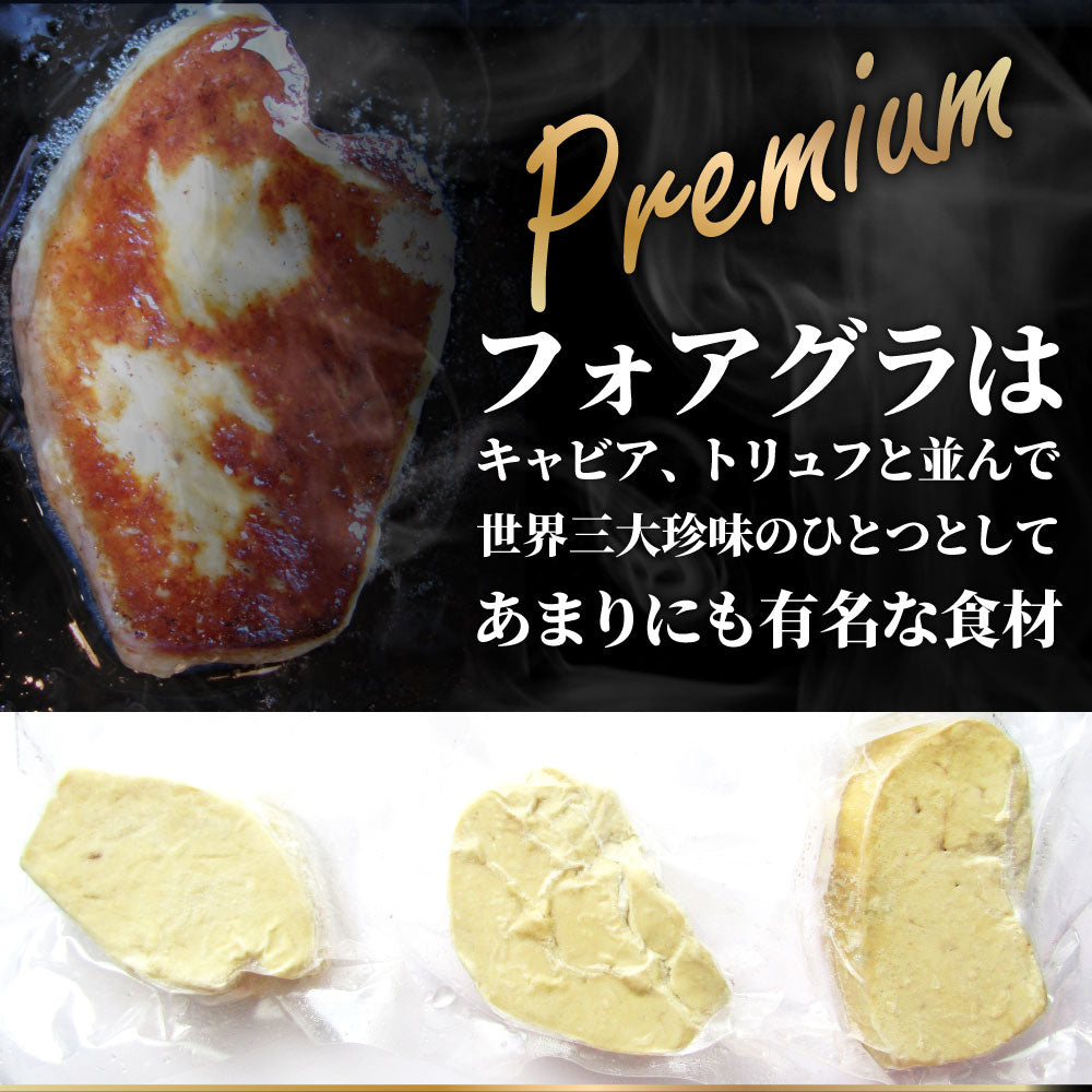 フォアグラ 最高級 フォアグラ・ド・カナール 40g×10P ハンガリー産 ソテー 高級 取り寄せ お得用 業務用