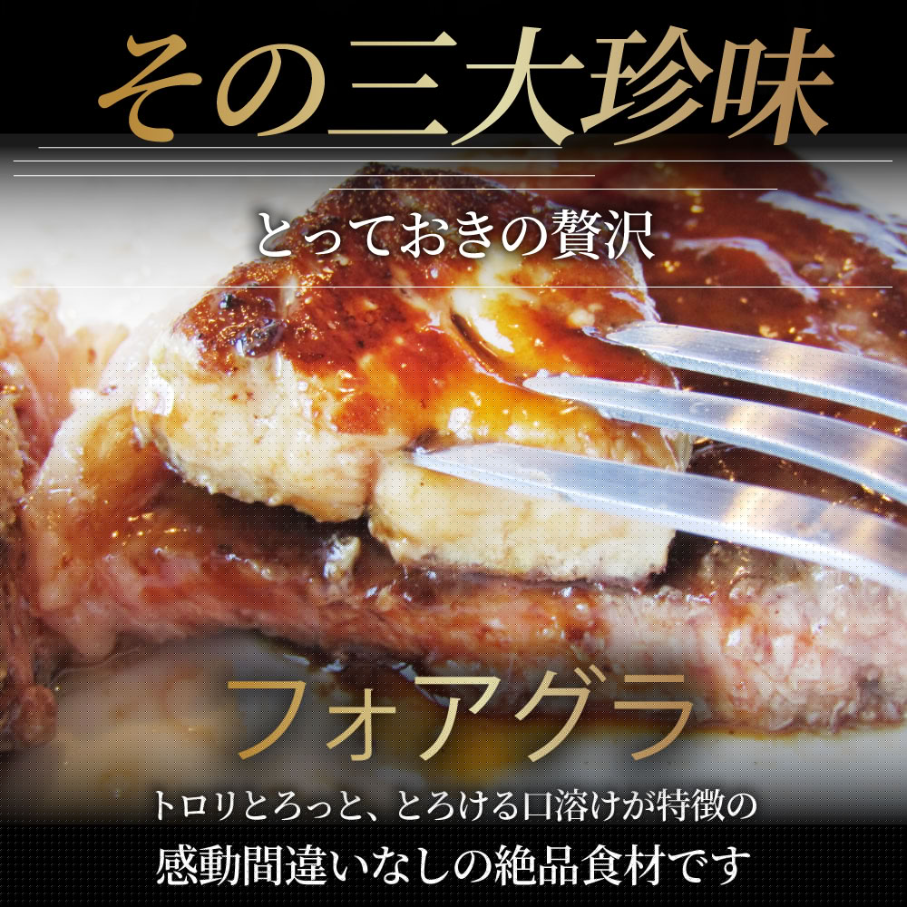 フォアグラ 最高級 フォアグラ・ド・カナール 40g×10P ハンガリー産 ソテー 高級 取り寄せ お得用 業務用
