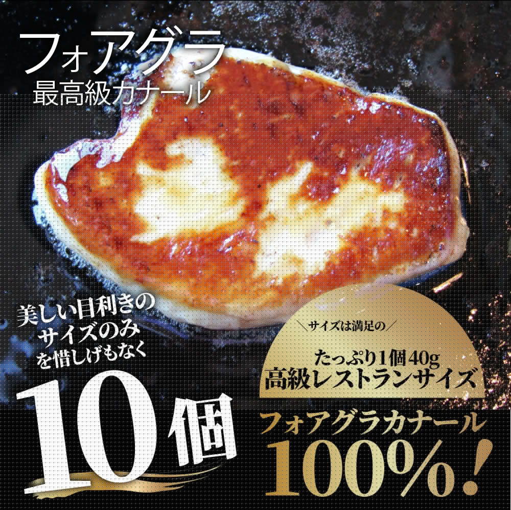 フォアグラ 最高級 フォアグラ・ド・カナール 40g×10P ハンガリー産 ソテー 高級 取り寄せ お得用 業務用
