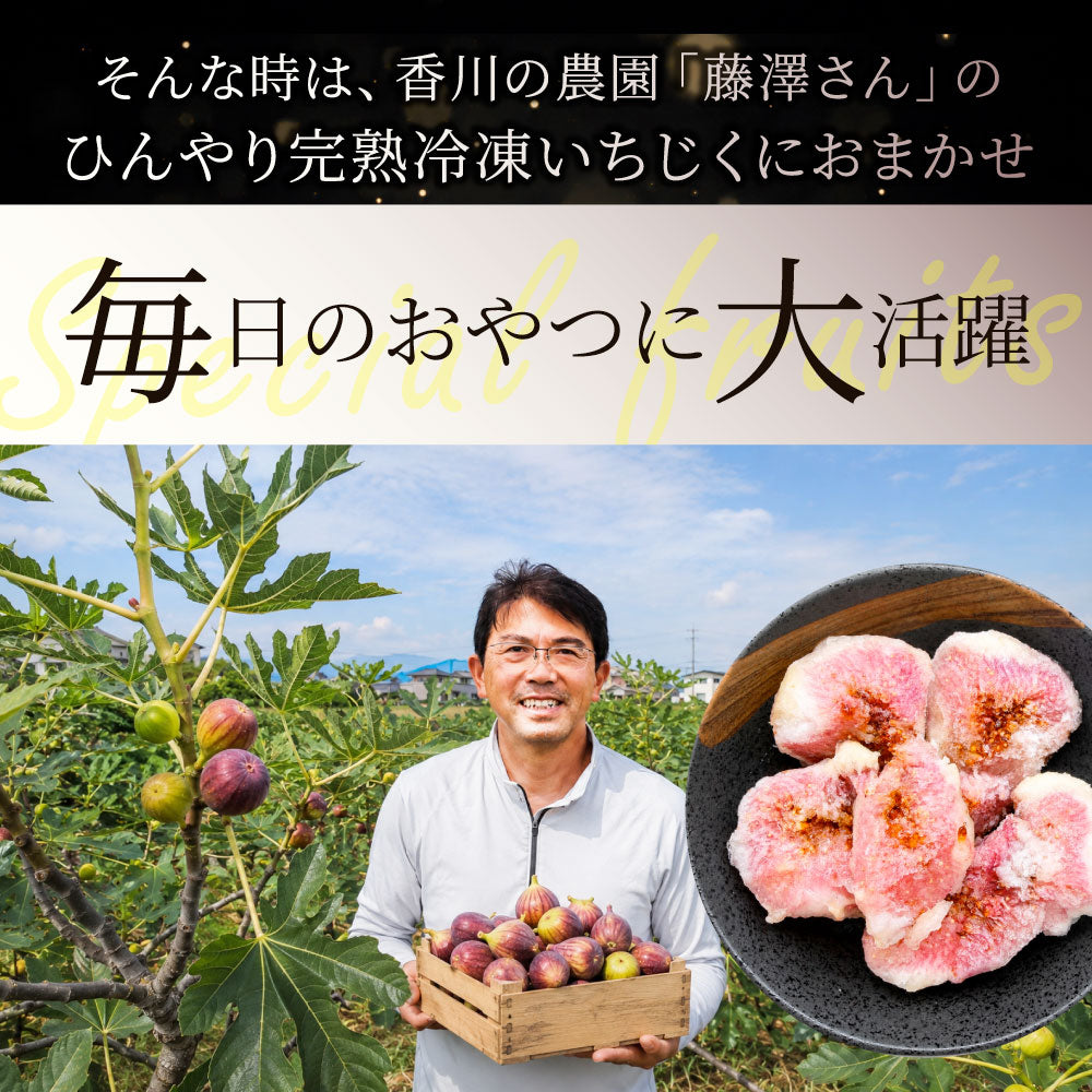 冷凍いちじく 5kg いちじく 香川県産  皮付き ポリフェノール 有機 有機栽培 冷凍フルーツ 無花果 フルーツ デザート スムージー ヨーグルト トッピング