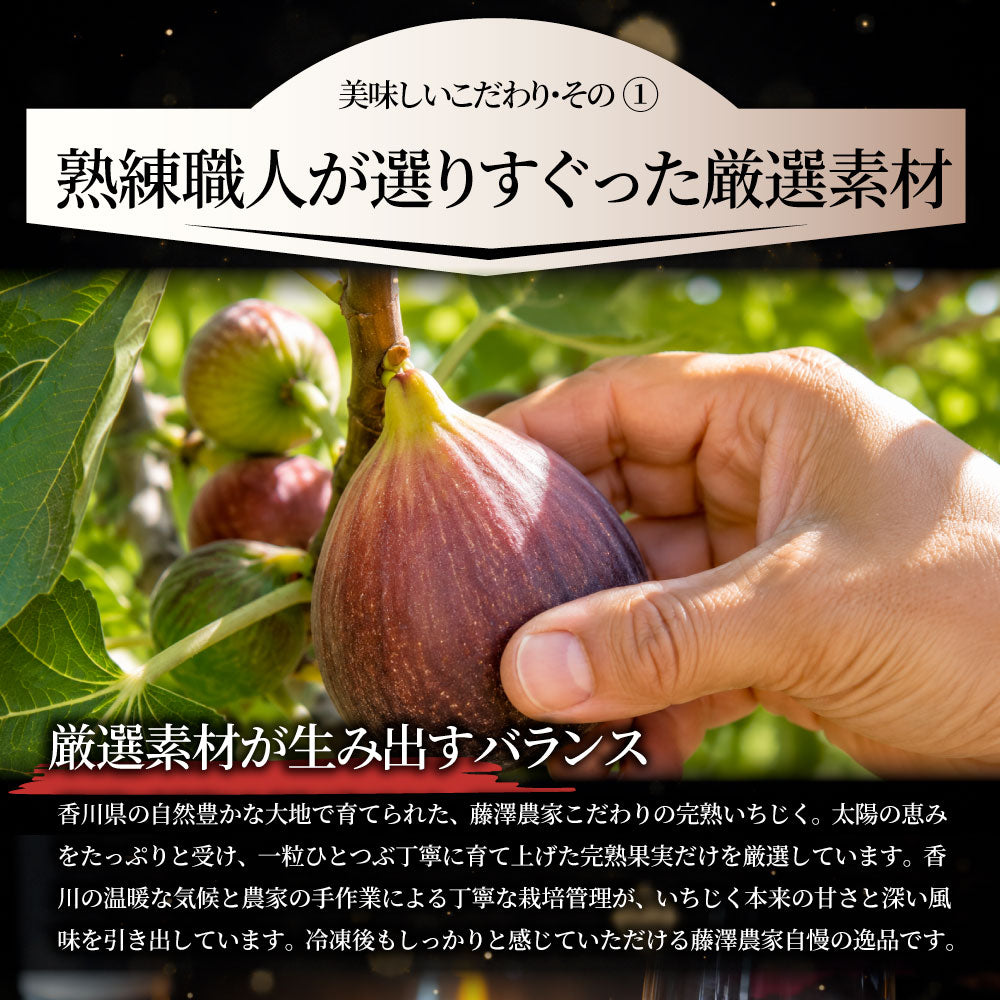 冷凍いちじく 5kg いちじく 香川県産  皮付き ポリフェノール 有機 有機栽培 冷凍フルーツ 無花果 フルーツ デザート スムージー ヨーグルト トッピング