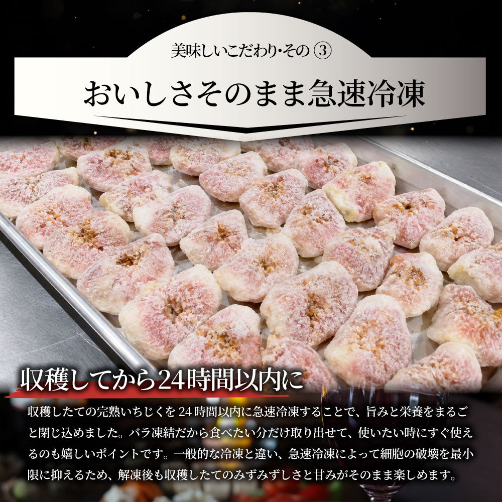 冷凍いちじく 5kg いちじく 香川県産  皮付き ポリフェノール 有機 有機栽培 冷凍フルーツ 無花果 フルーツ デザート スムージー ヨーグルト トッピング