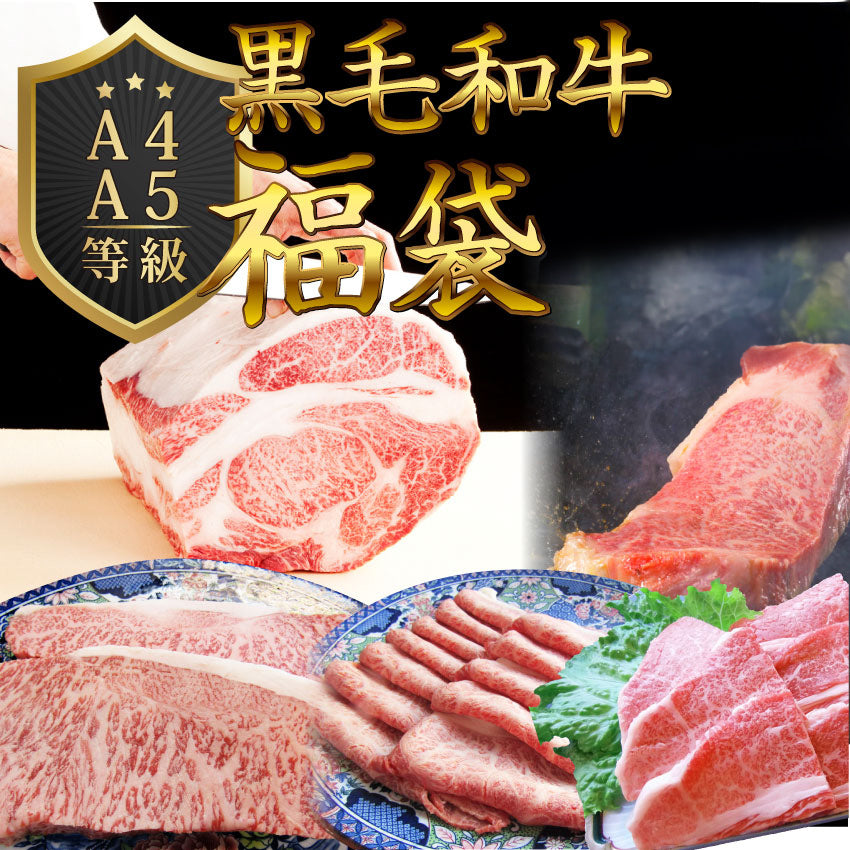 牛肉 肉 特松 福袋 黒毛和牛 A4 A5等級のみ使用 1.6kg 肉の福袋 3種 超豪華福袋セット お中元 ギフト 食品 プレゼント 女性 男性 お祝い 新生活 黒毛和牛