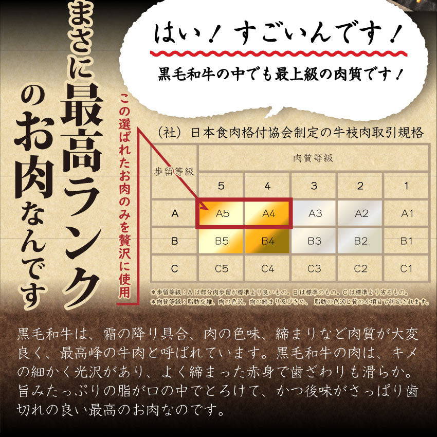 牛肉 肉 特松 福袋 黒毛和牛 A4 A5等級のみ使用 1.6kg 肉の福袋 3種 超豪華福袋セット お中元 ギフト 食品 プレゼント 女性 男性 お祝い 新生活 黒毛和牛