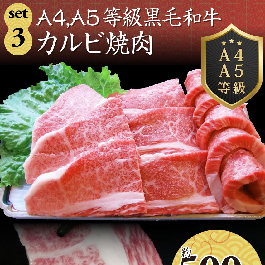 牛肉 肉 特松 福袋 黒毛和牛 A4 A5等級のみ使用 1.6kg 肉の福袋 3種 超豪華福袋セット お中元 ギフト 食品 プレゼント 女性 男性 お祝い 新生活 黒毛和牛