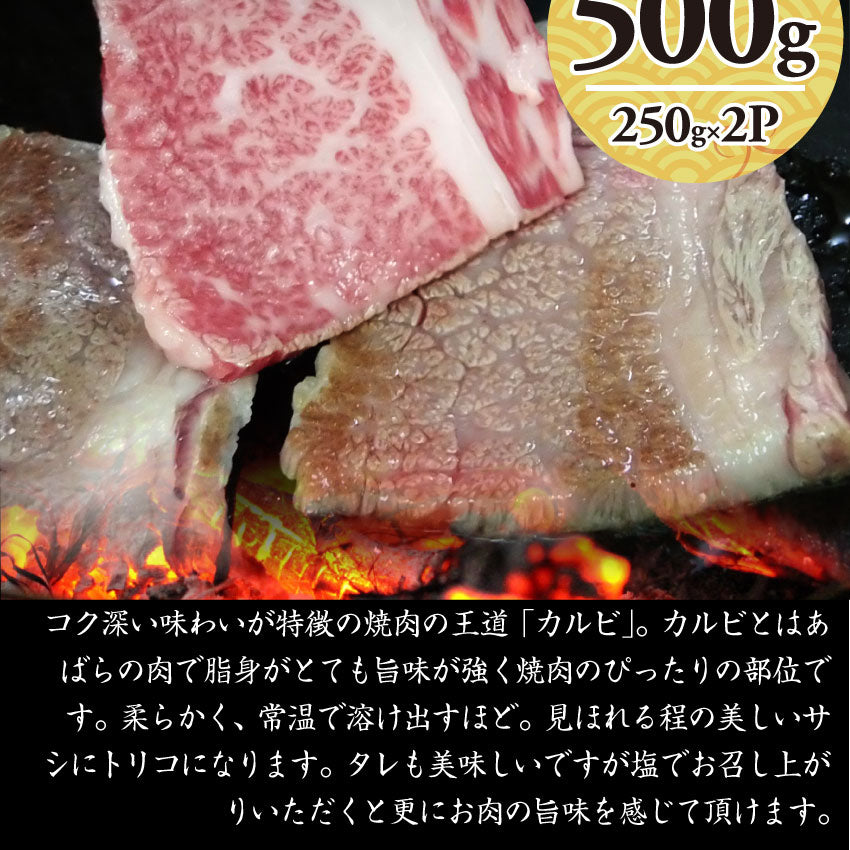 牛肉 肉 特松 福袋 黒毛和牛 A4 A5等級のみ使用 1.6kg 肉の福袋 3種 超豪華福袋セット お中元 ギフト 食品 プレゼント 女性 男性 お祝い 新生活 黒毛和牛