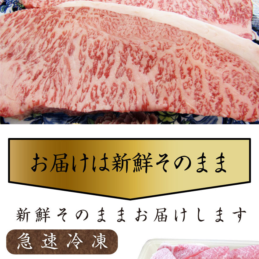 牛肉 肉 特松 福袋 黒毛和牛 A4 A5等級のみ使用 1.6kg 肉の福袋 3種 超豪華福袋セット お中元 ギフト 食品 プレゼント 女性 男性 お祝い 新生活 黒毛和牛