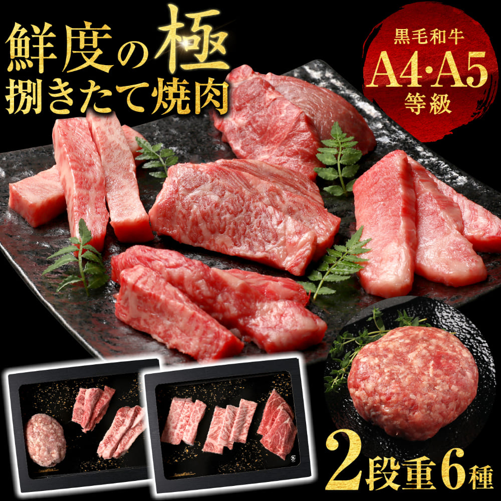 母の日 父の日 6種2段　豪華絢爛(けんらん) 焼肉ギフト 霜降り 牛肉 黒毛和牛 ギフト 贅沢 国産 黒毛 和牛 祝い グルメ 誕生日 焼肉 セット 牛 内祝 真空密封包装