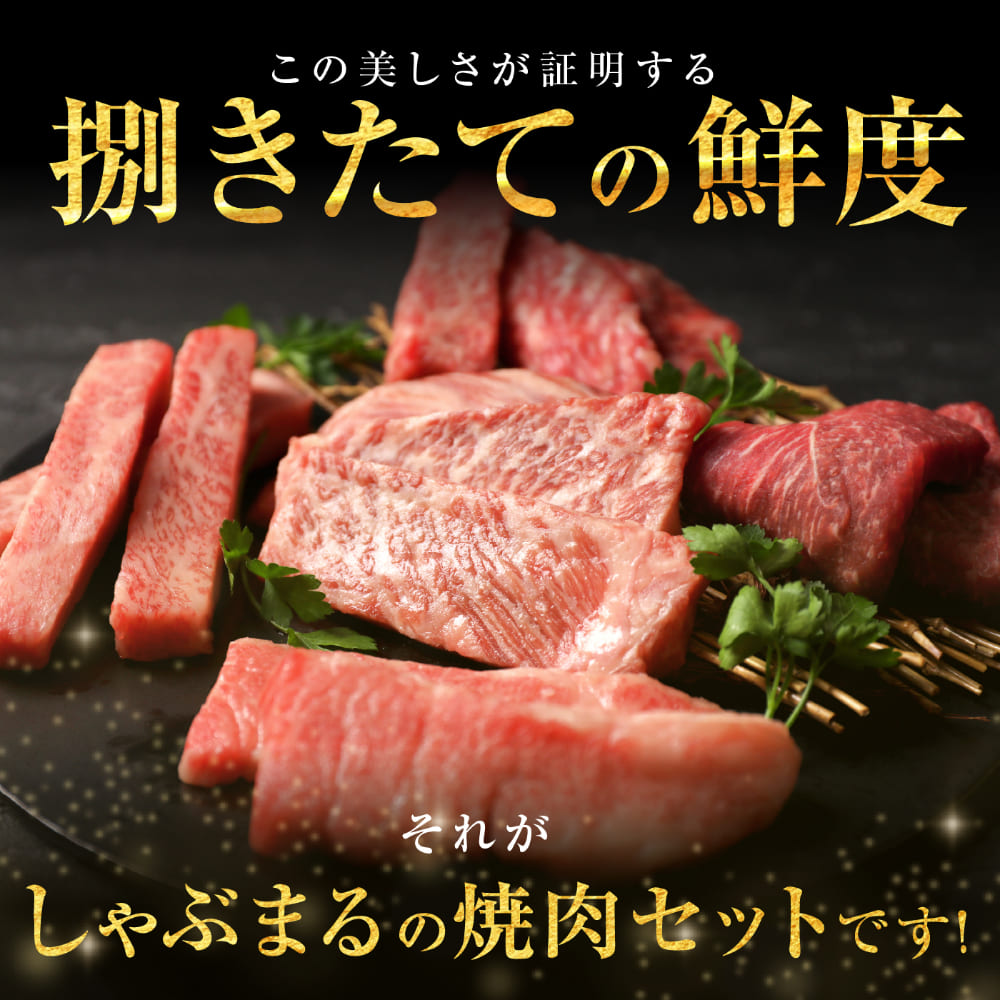 母の日 父の日 6種2段　豪華絢爛(けんらん) 焼肉ギフト 霜降り 牛肉 黒毛和牛 ギフト 贅沢 国産 黒毛 和牛 祝い グルメ 誕生日 焼肉 セット 牛 内祝 真空密封包装