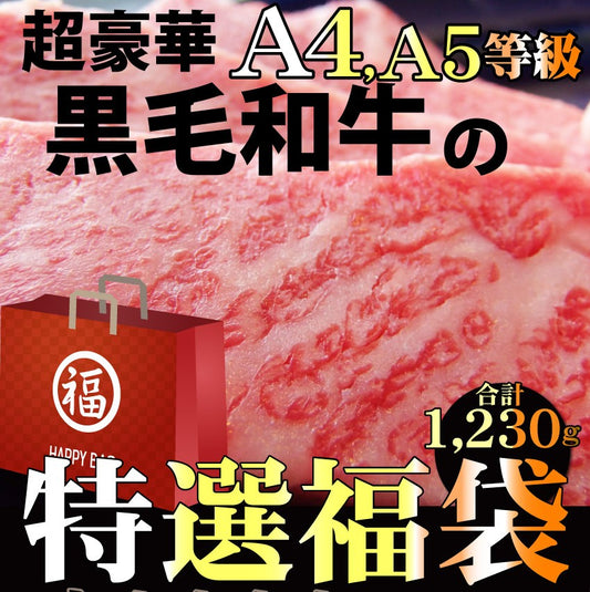 牛肉 肉 黒毛和牛 福袋 ふくぶくろ ステーキ 焼肉 ロース スライス カルビ 豪華 限定 お中元 ギフト 食品 プレゼント 女性 男性 お祝い 新生活