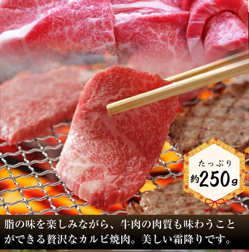 牛肉 肉 黒毛和牛 福袋 ふくぶくろ ステーキ 焼肉 ロース スライス カルビ 豪華 限定 お中元 ギフト 食品 プレゼント 女性 男性 お祝い 新生活