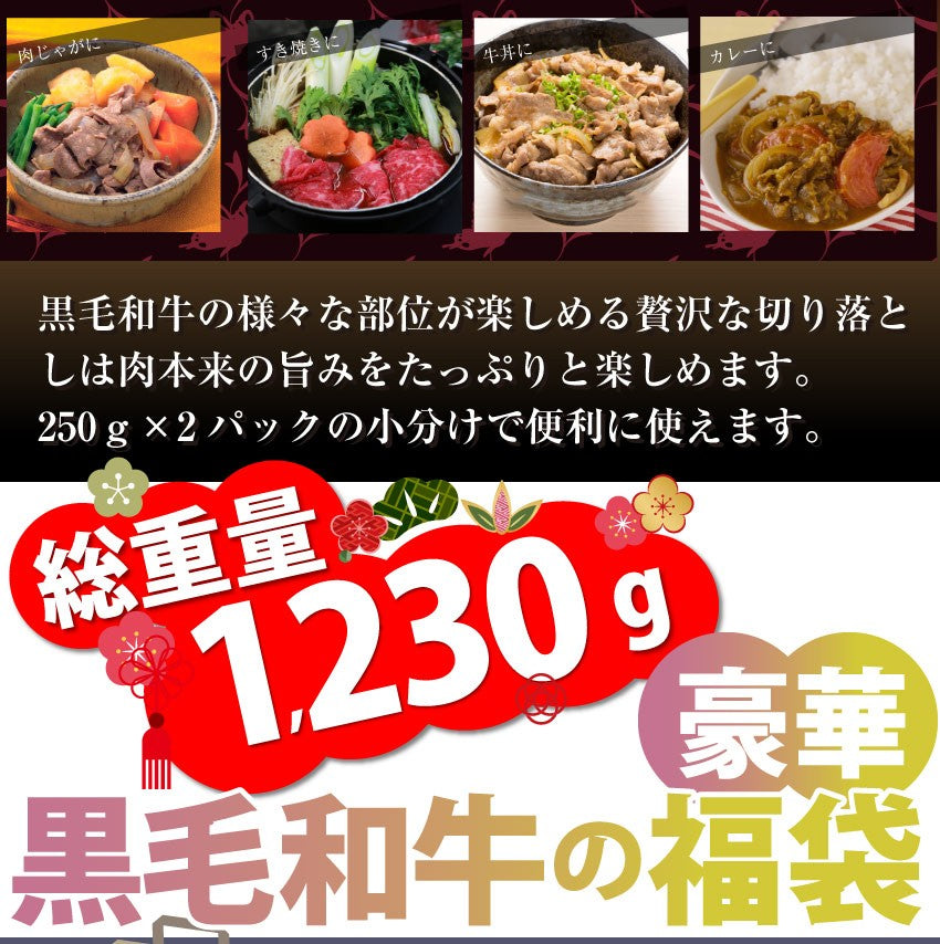 牛肉 肉 黒毛和牛 福袋 ふくぶくろ ステーキ 焼肉 ロース スライス カルビ 豪華 限定 お中元 ギフト 食品 プレゼント 女性 男性 お祝い 新生活