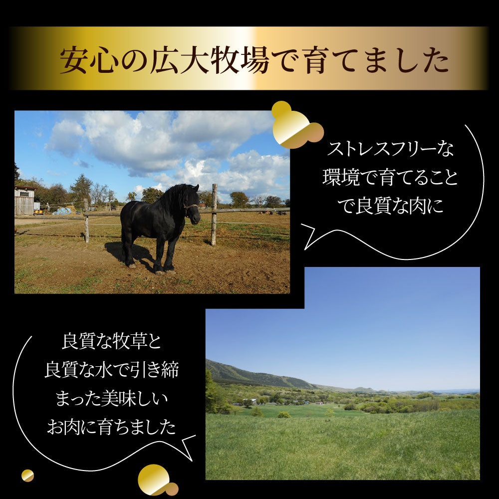 馬刺し ユッケ 刺身 100個セット(50g×100個） 100人前 たれつき ばさし おつまみ 酒の肴 惣菜 お取り寄せ ワインに合う 日本酒に合う ダイエット