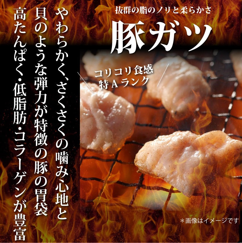 焼肉 豚肉 肉 豚ガツ 国産 1kg（250g×4） ホルモン 胃袋 焼肉用 タレ漬け 焼くだけ コリコリ 高たんぱく 低脂肪 コラーゲン＊当日発送対象