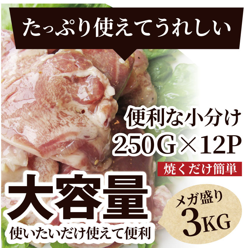 焼肉 豚肉 肉 国産 豚タン タン たん ホルモン 3kg 250g×12袋 焼肉用 タレ漬け BBQ 焼くだけ キャンプ キャンプ飯＊送料無料