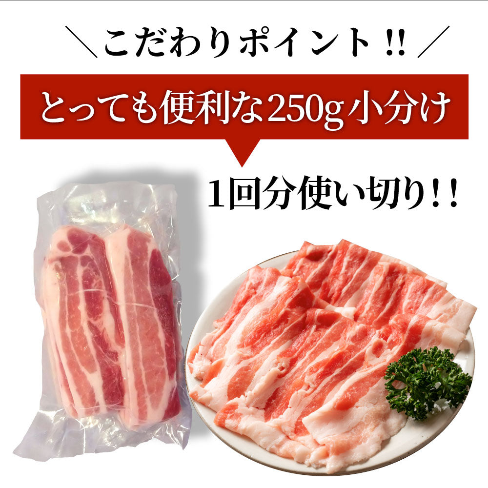 豚バラ肉 1kg スライス 焼肉 豚肉 250g×4パック メガ盛り 豚肉 バーベキュー 焼肉 スライス バラ 小分け 便利