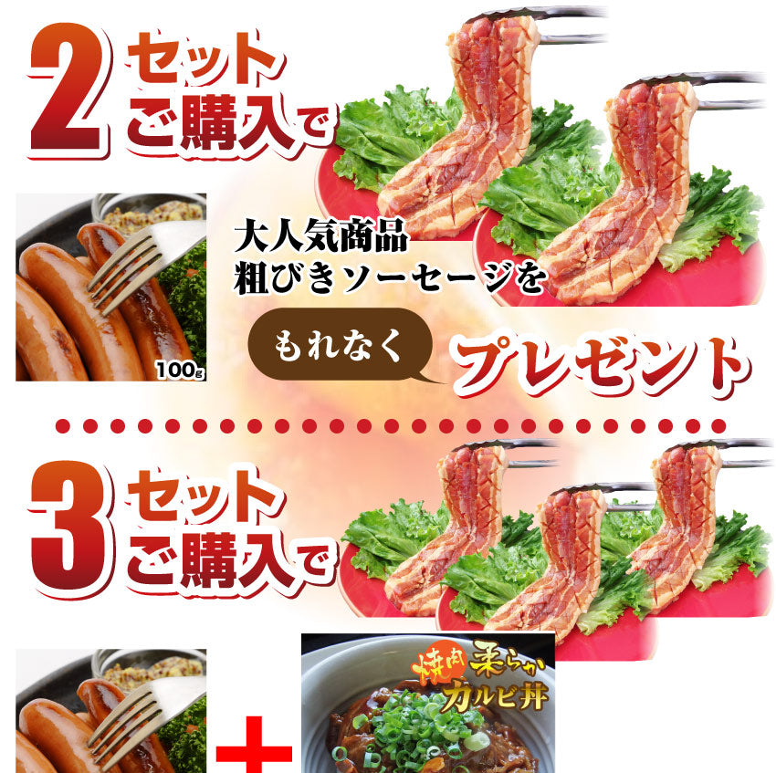 バーベキュー 肉 豚カルビ 照り焼き メガステーキ 250g 驚きのメガサイズ