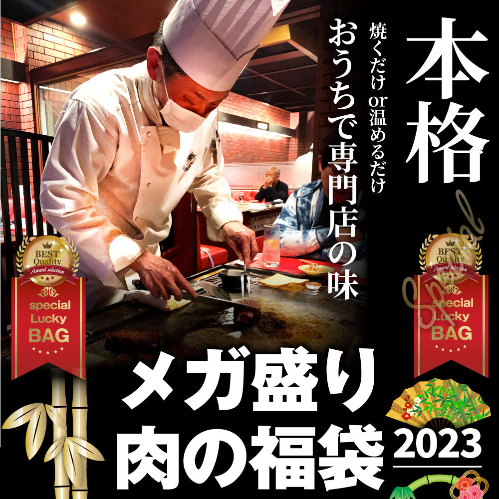 肉 福袋 2023年 国産牛入り 肉の福袋 「竹福袋」牛肉 食品 メガ盛り 総重量2.8kg超 焼くだけ＆レンジで簡単調理！ランキング1位＆人気のお肉豪華セット 国産牛ステーキ 国産牛焼肉