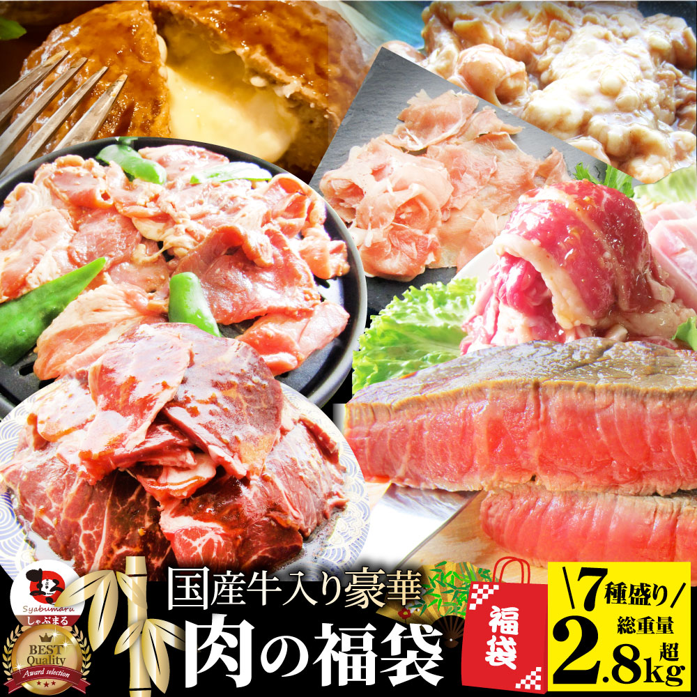 肉 福袋 2023年 国産牛入り 肉の福袋 「竹福袋」牛肉 食品 メガ盛り 総重量2.8kg超 焼くだけ＆レンジで簡単調理！ランキング1位＆人気のお肉豪華セット 国産牛ステーキ 国産牛焼肉