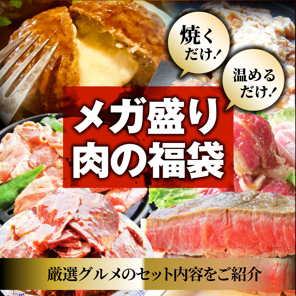 肉 福袋 2023年 国産牛入り 肉の福袋 「竹福袋」牛肉 食品 メガ盛り 総重量2.8kg超 焼くだけ＆レンジで簡単調理！ランキング1位＆人気のお肉豪華セット 国産牛ステーキ 国産牛焼肉