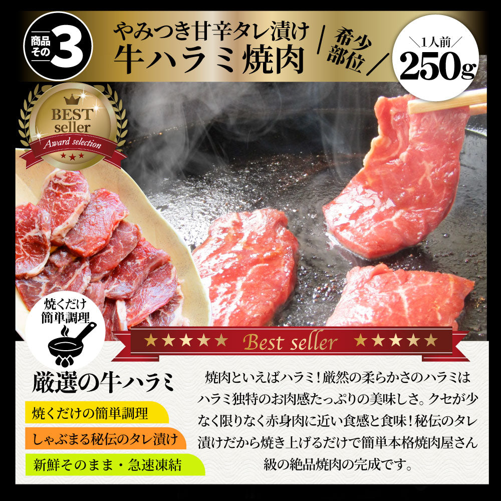 肉 福袋 2023年 国産牛入り 肉の福袋 「竹福袋」牛肉 食品 メガ盛り 総重量2.8kg超 焼くだけ＆レンジで簡単調理！ランキング1位＆人気のお肉豪華セット 国産牛ステーキ 国産牛焼肉